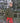 Bruna-Jacke